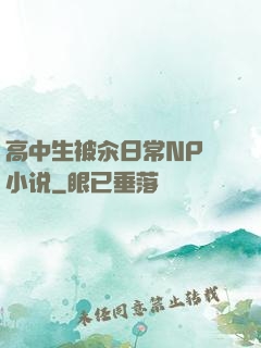 高中生被汆日常NP 小说